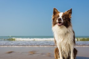 kaiyun 开云体育-外线球员节奏错位是否优于强行出手，外线球员是什么位置