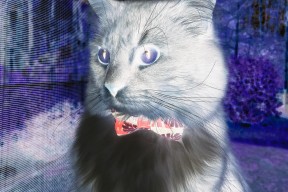 开云体育登入-国家男篮持续调整阵容提升整体实力，国家男篮大名单