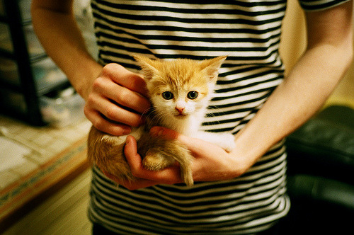 五大联赛是否在战术设计中加入更多机动性换人策略,5大联赛换人名额