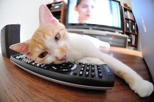 大数据应用指导选手日常生活习惯调整，大数据应用讨论