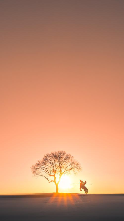 中国足球俱乐部建立退役球员再就业机制,中国足球运动员退役后干什么