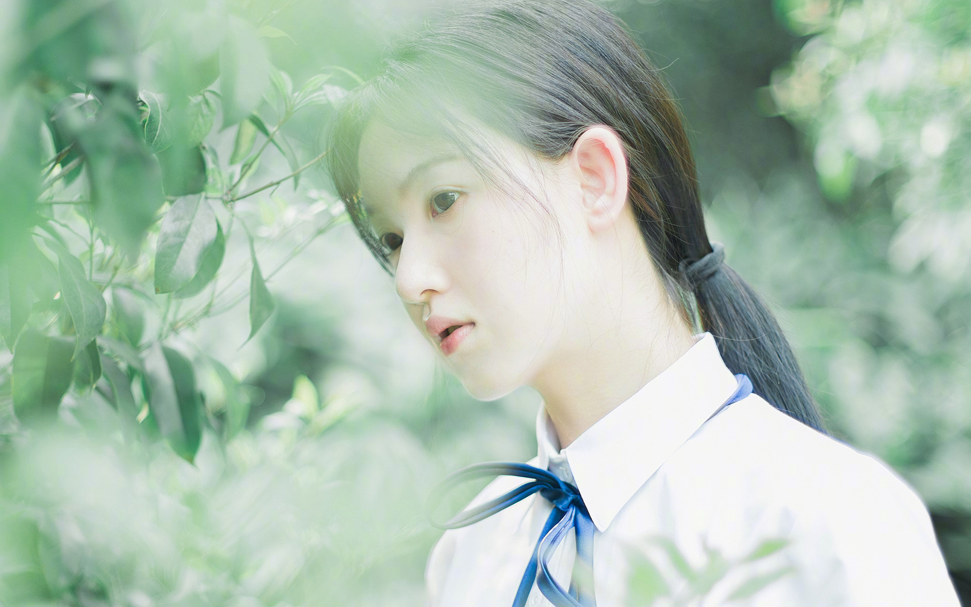 国家滑雪管理中心发布滑雪季各地开放时间通告，国家滑雪场在哪里