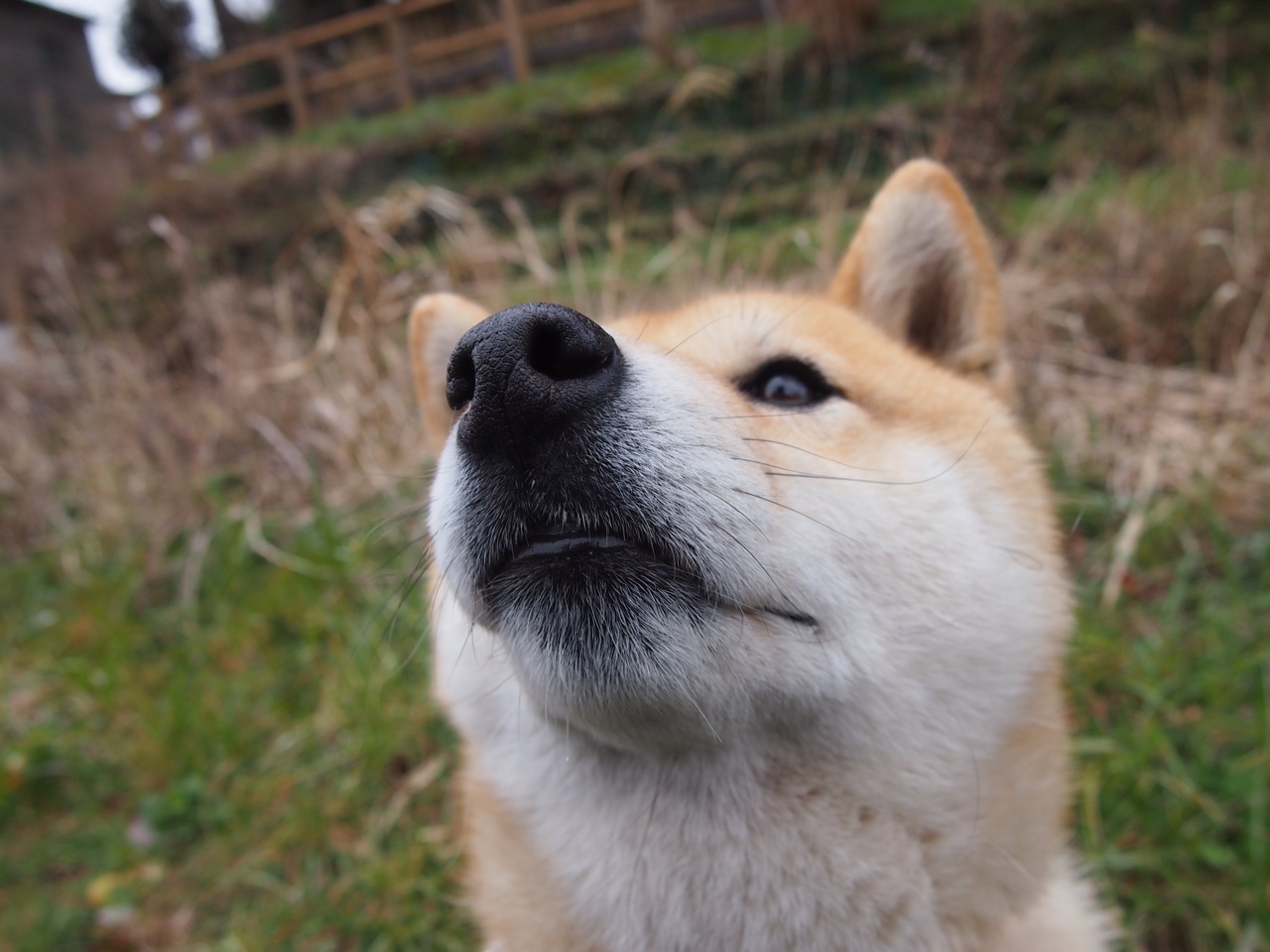 女子联赛优化赛事时间安排保障球员恢复周期,女子职业联赛