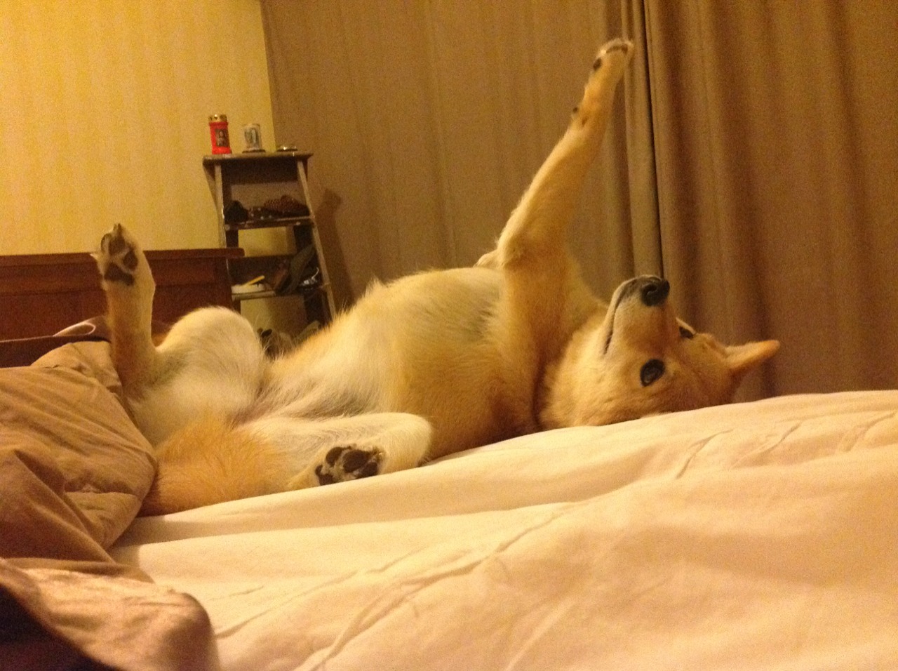 德甲连续进攻：攻势如潮，令人叹为观止，德甲多少场次