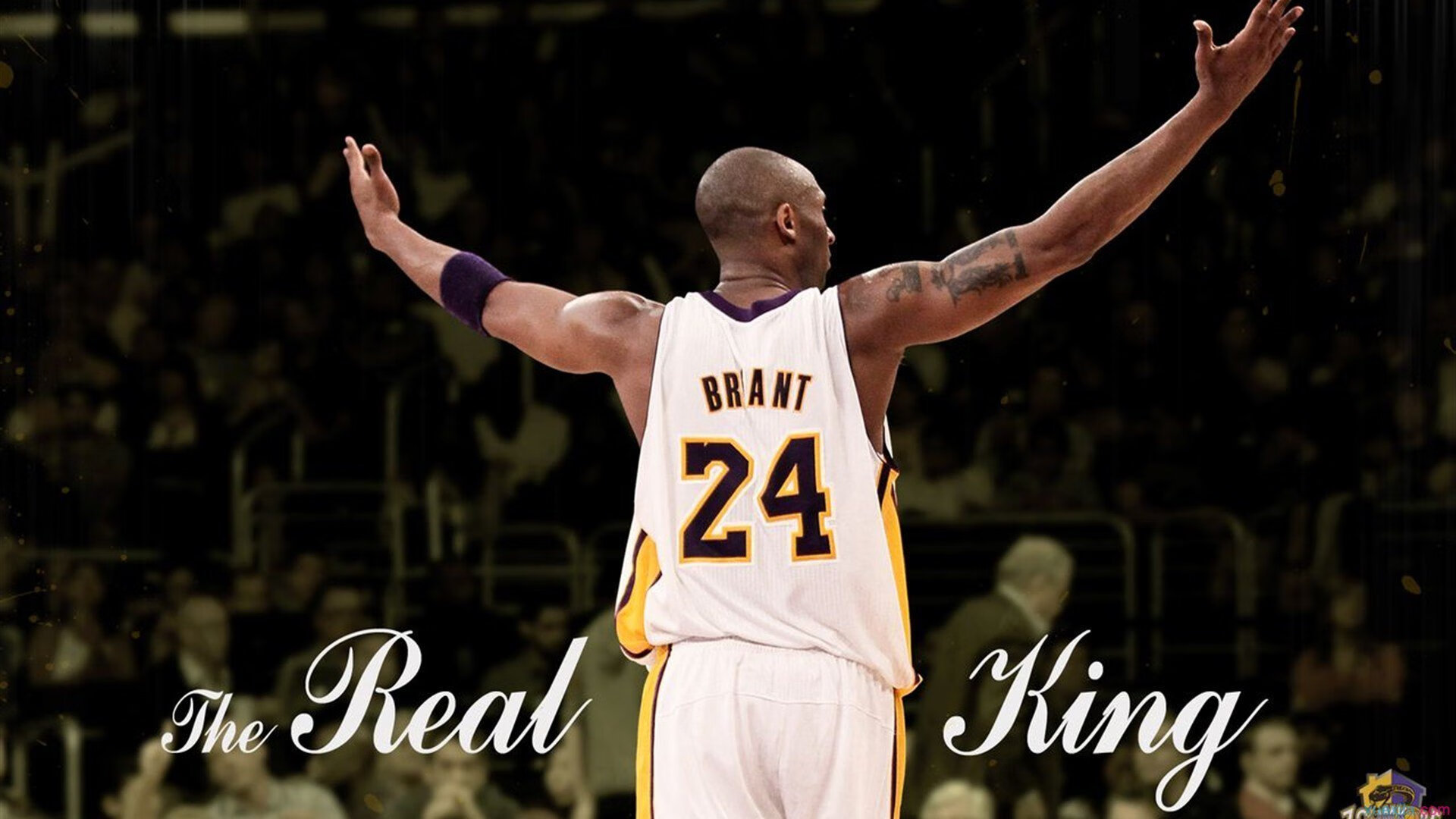 本土新秀首秀惊艳，媒体封其为明日之星，明日之星创始人